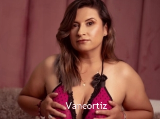 Vaneortiz