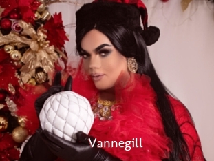 Vannegill