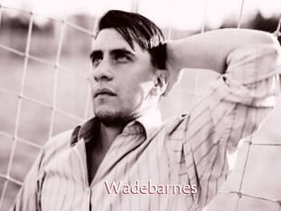 Wadebarnes