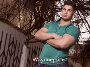 Waynneprice