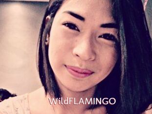 WildFLAMINGO