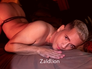 Zaidlion